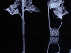 -时代美术馆-成都馆