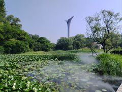 -沈阳植物园