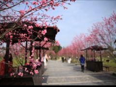 -常德桃花源景区