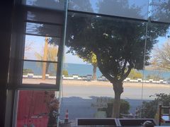 -野菌皇海景野生菌火锅(滨海大道店)