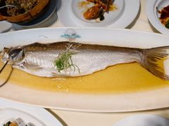 -席家花园(巨鹿花园店)