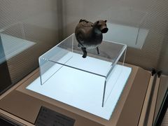 -信阳博物馆