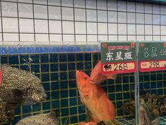 -飞尝蚝·顺德菜·鱼生(顺德总店)