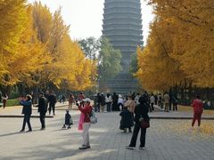 -玲珑塔公园