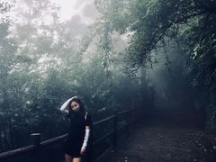 -秦岭天竺山景区