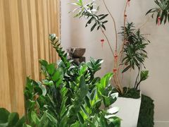 -修申骨雕小颜脊柱骨盆管理产后修复