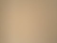 -西山樟坞健康果园枇杷杨梅采摘