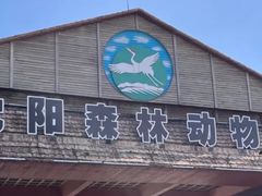 -沈阳森林动物园