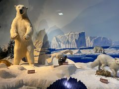 -陕西自然博物馆