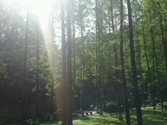 android_upload_pic-忠山公园