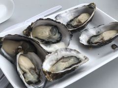 -悉尼鱼市场
