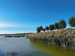 -南大港湿地风景区