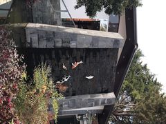-瑞丰园庭院餐厅·白族传统家常菜