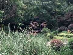 -大连植物园