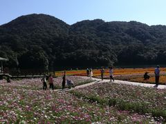 -广州市石门国家森林公园