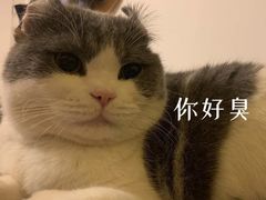 -粉家柳州螺蛳粉(杨宅路店)