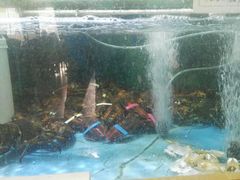 -良师门滨海人家·海鲜·家常菜(滨海城店)