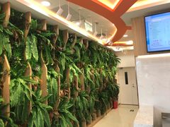 -CoCo都可(北京西站北广场店)