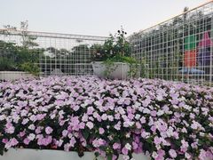 -深圳国际园林花卉博览园