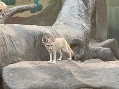 -上海野生动物园