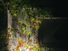 -深圳东部华侨城茵特拉根酒店