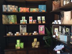 -命运咖啡馆Destiny Coffee
