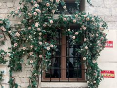 -华谊兄弟（长沙）电影小镇