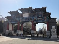 -迎泽公园