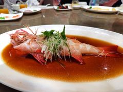 清蒸东星斑-御宝轩(益丰·外滩源店)