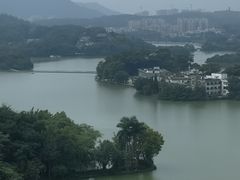 -惠州康帝国际酒店