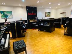 -柏斯琴行(汾阳店)