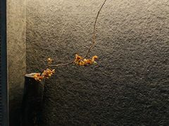 -物心空间