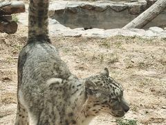 -青藏高原野生动物园