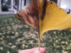 -南岳衡山风景名胜区-南岳大庙