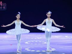 -西安小天鹅艺术团(曲江Alice店)