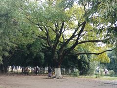 -堤角公园