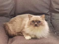 -零纪元VR体验馆·桌游(黄浦店)