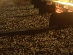 -菲拉拉漫温泉(东环路店)