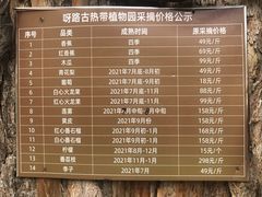 -呀路古热带植物园