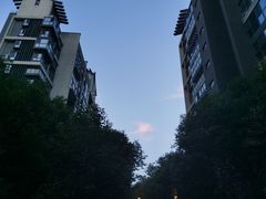 -唐城墙遗址公园