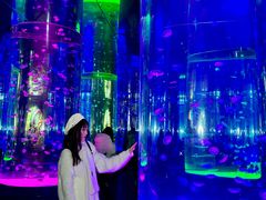 -海合安成都极地海洋公园