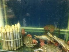 -启东小海鲜(庄先湾路1号店)