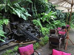 -Fern Forest Cafe