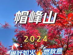 -广州市帽峰山景区