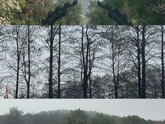 -东湖生态旅游风景区