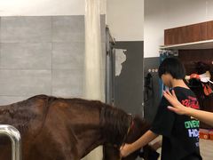 -骑乐马术(广州奥体优托邦中心)