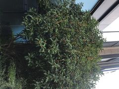 -世纪联华(杭州新塘路店)