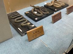 -陕西自然博物馆