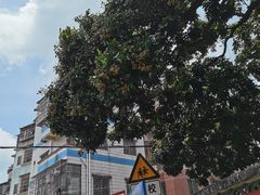 -黄埔古港