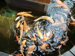 -上海大自然野生昆虫馆(东方明珠·爬宠昆虫探索中心)